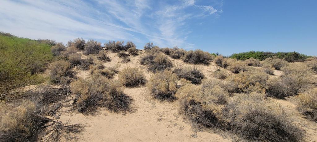 MLS #219137102PS image #26