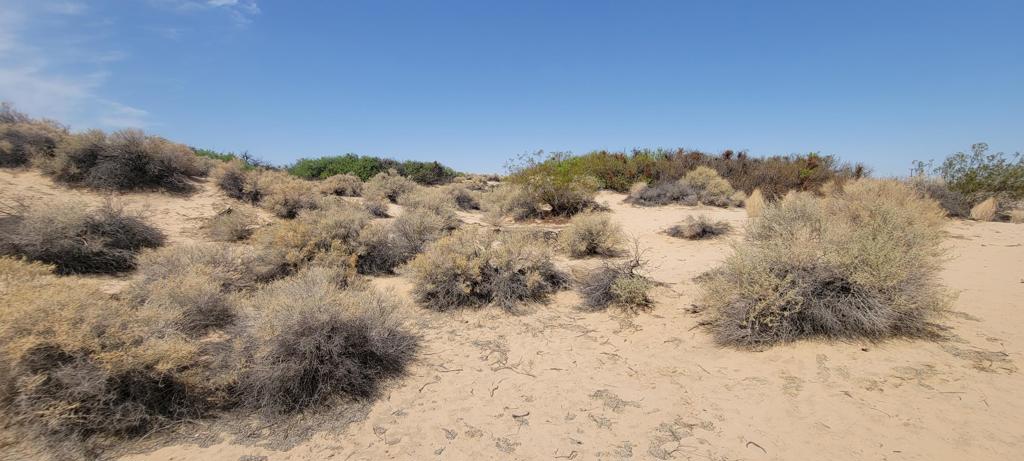 MLS #219137102PS image #27