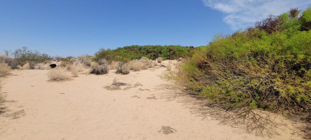 MLS #219137102PS image #28