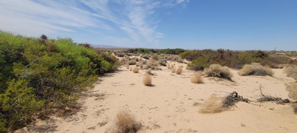 MLS #219137102PS image #30