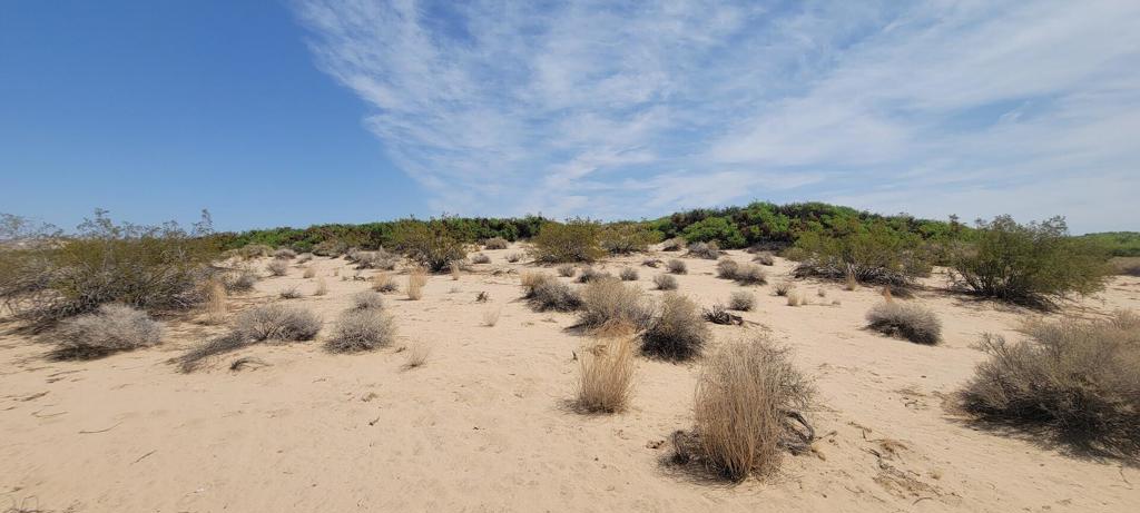 MLS #219137102PS image #31