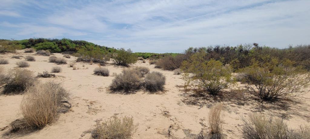 MLS #219137102PS image #32