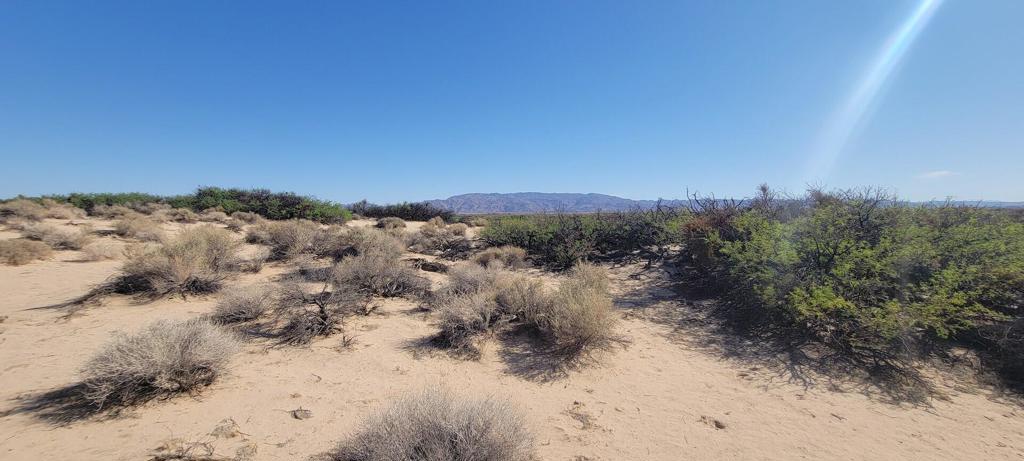 MLS #219137102PS image #6