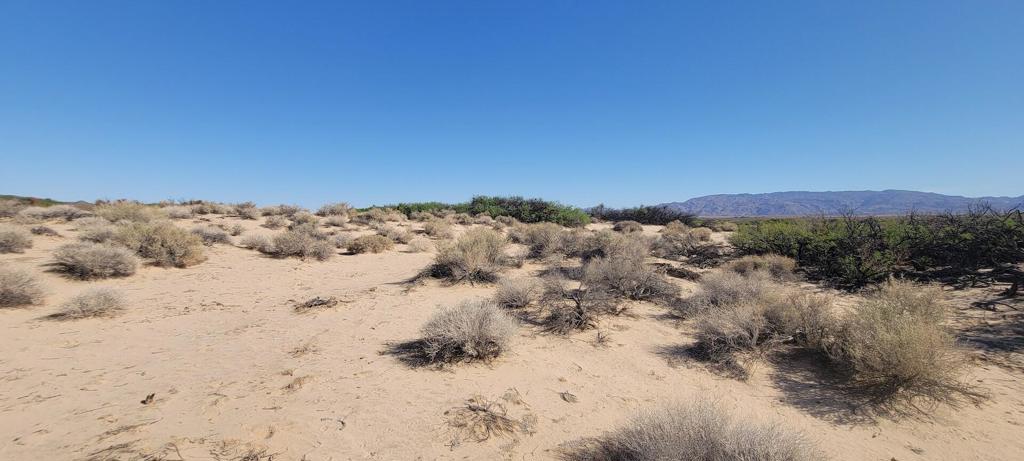 MLS #219137102PS image #7