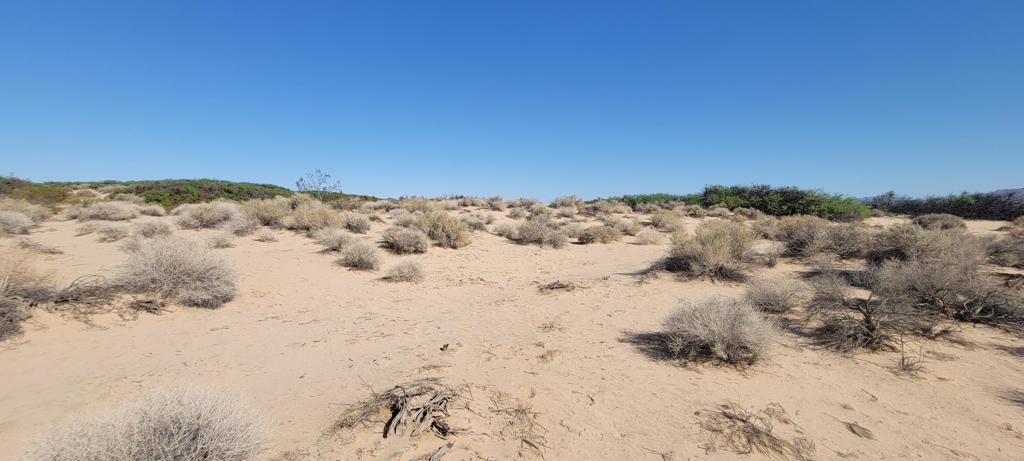 MLS #219137102PS image #9