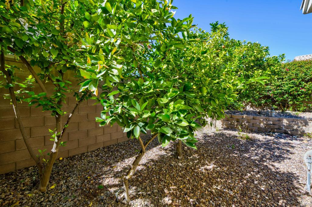 MLS #219137132DA image #41