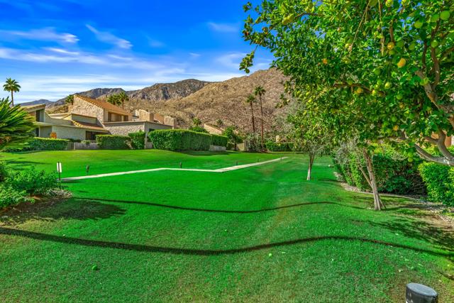 MLS #219137306DA image #39