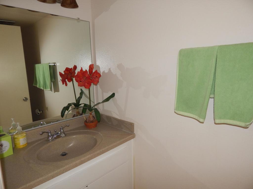 MLS #219137327DA image #13