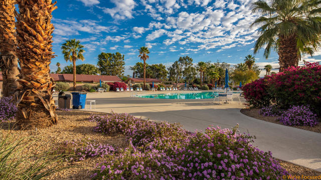 MLS #219137328DA image #36