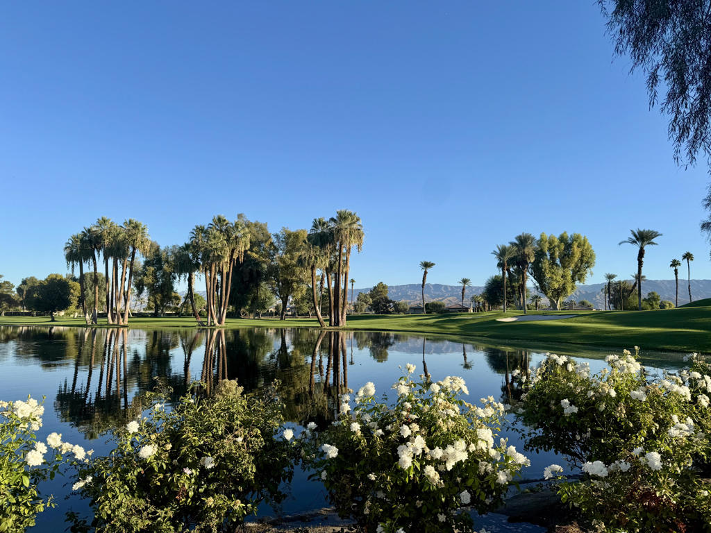 MLS #219137374DA image #4