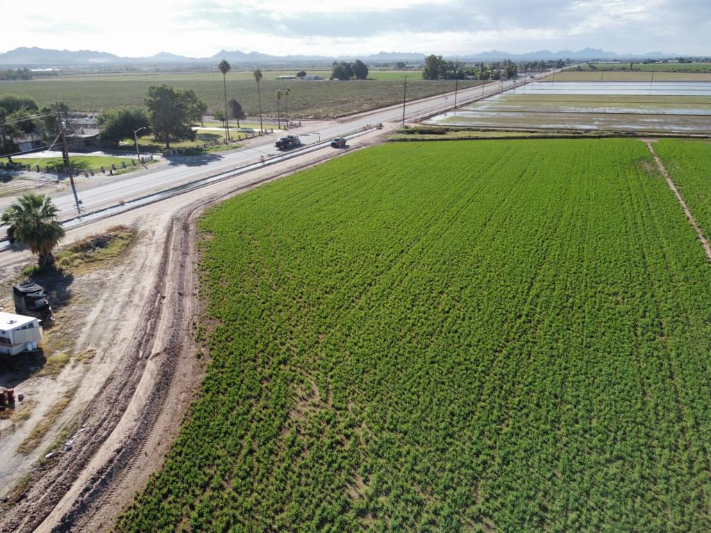 MLS #219137378DA image #10