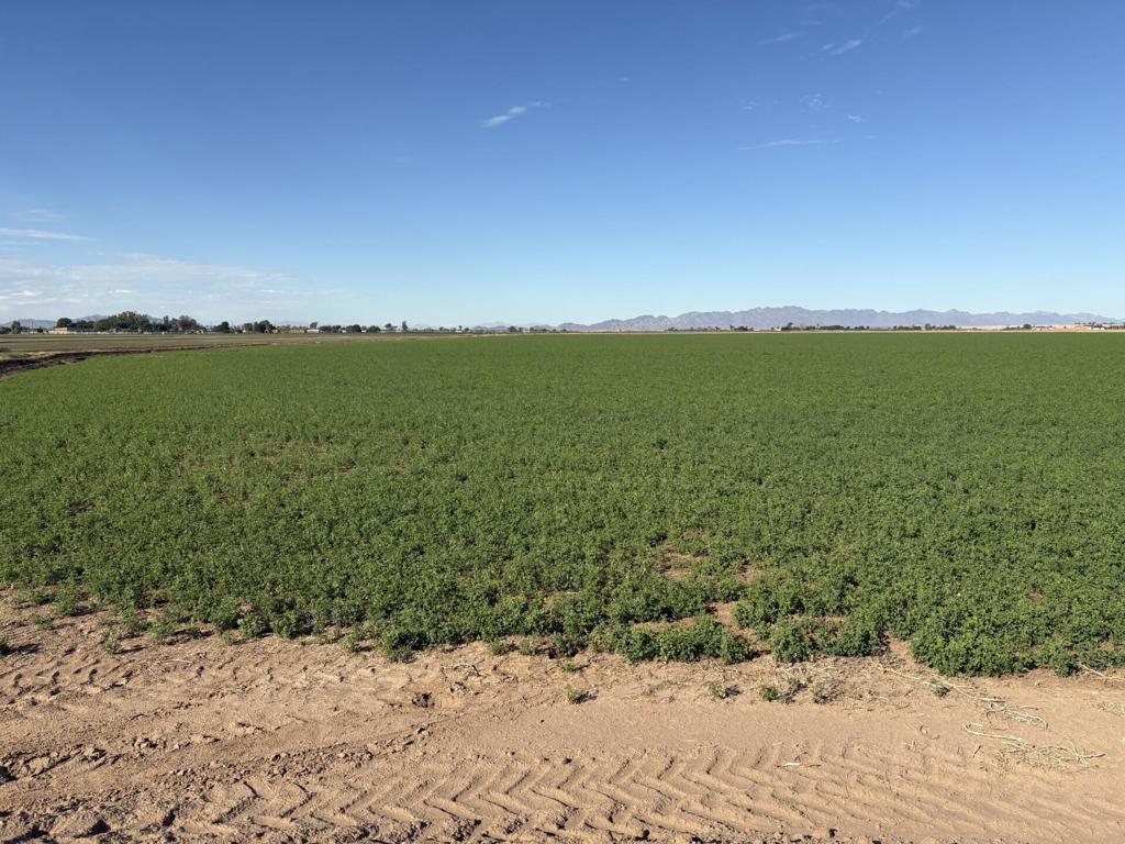 MLS #219137378DA image #11