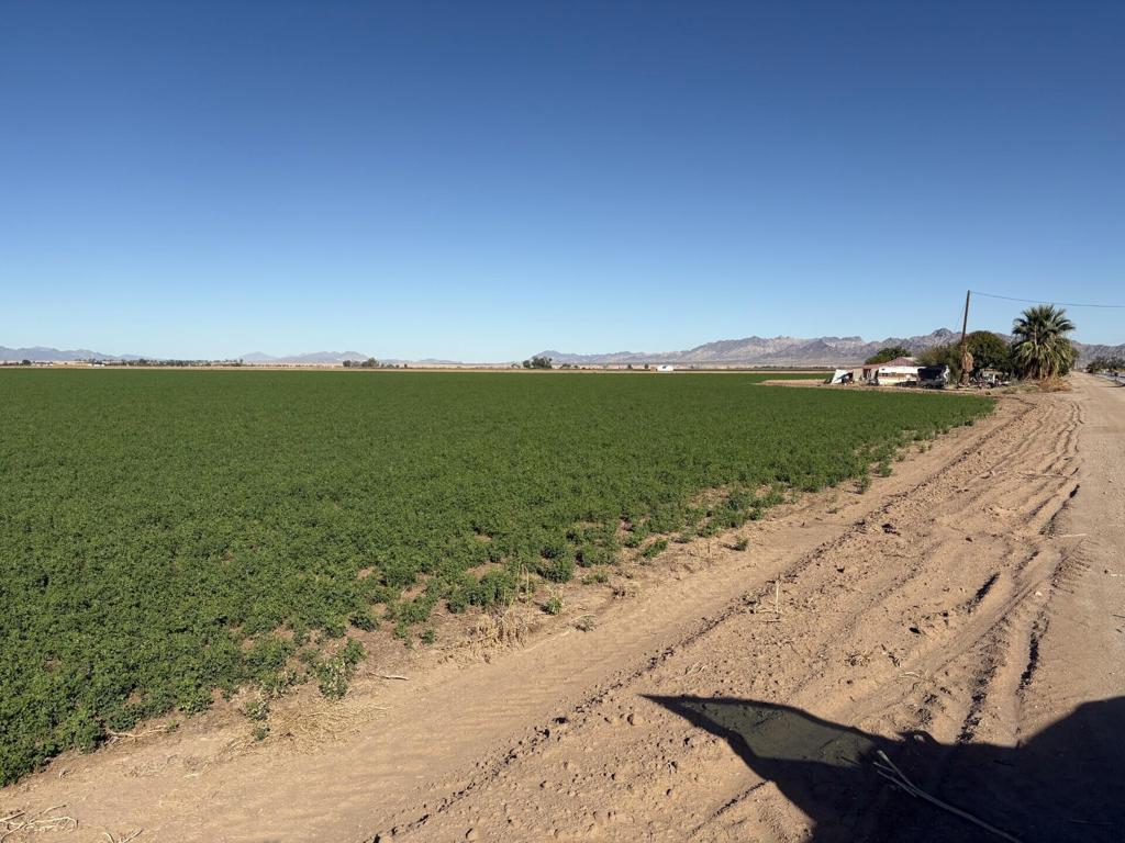 MLS #219137378DA image #12