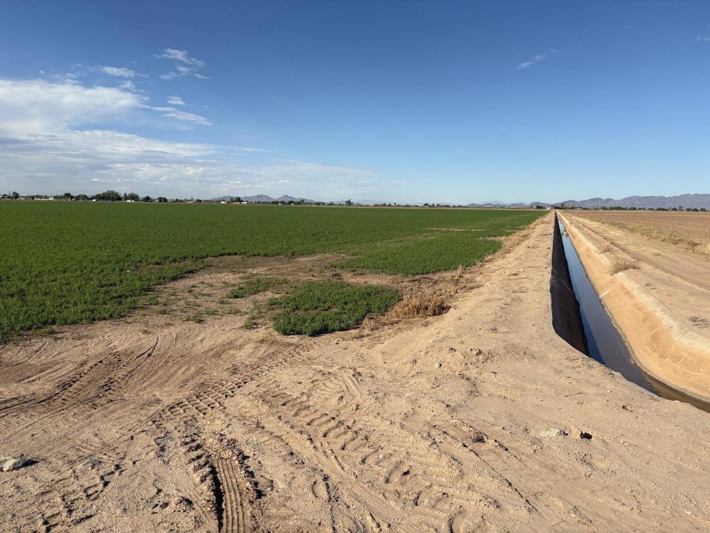 MLS #219137378DA image #14