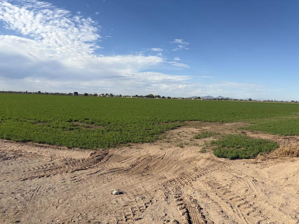 MLS #219137378DA image #15