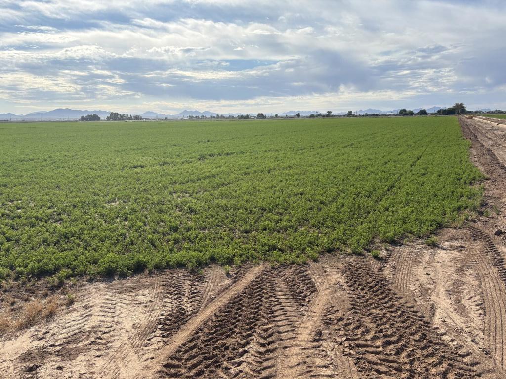 MLS #219137378DA image #17