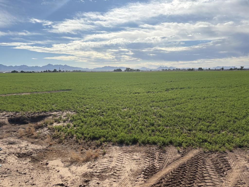 MLS #219137378DA image #18