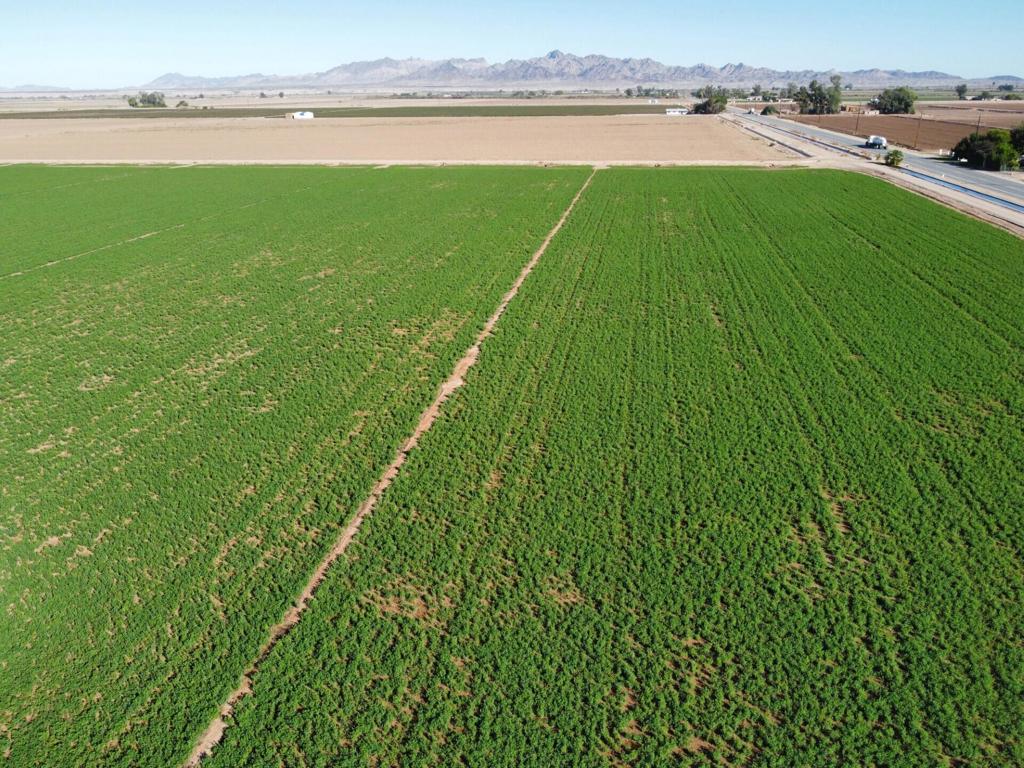 MLS #219137378DA image #3