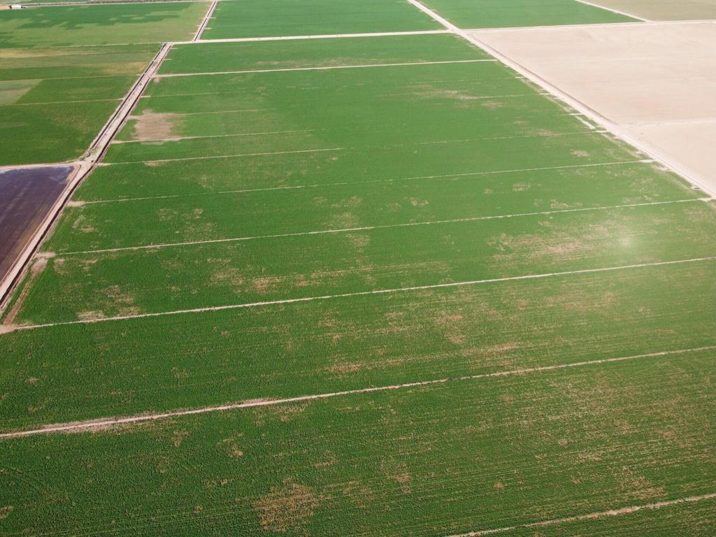 MLS #219137378DA image #4