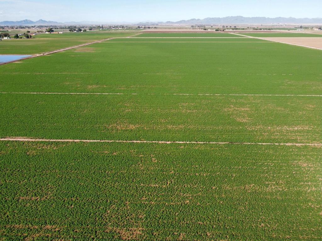 MLS #219137378DA image #5