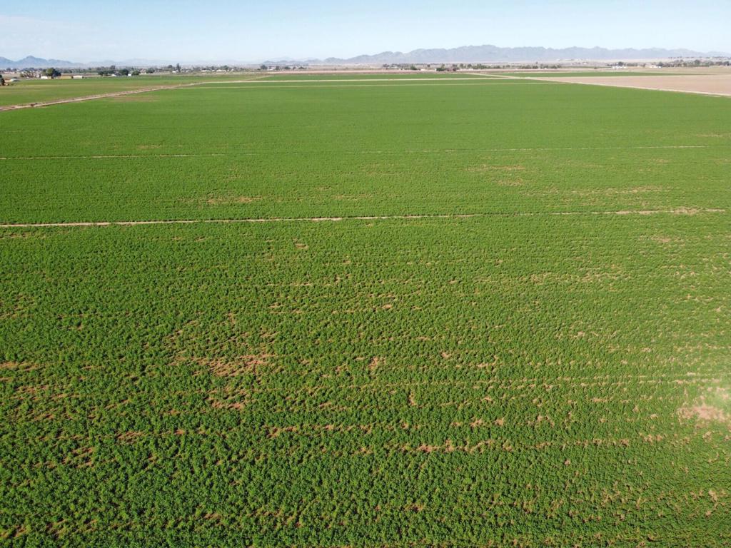 MLS #219137378DA image #6