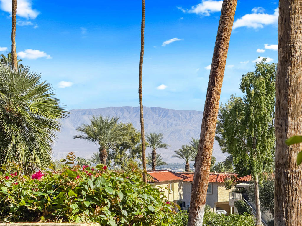 MLS #219137466DA image #25