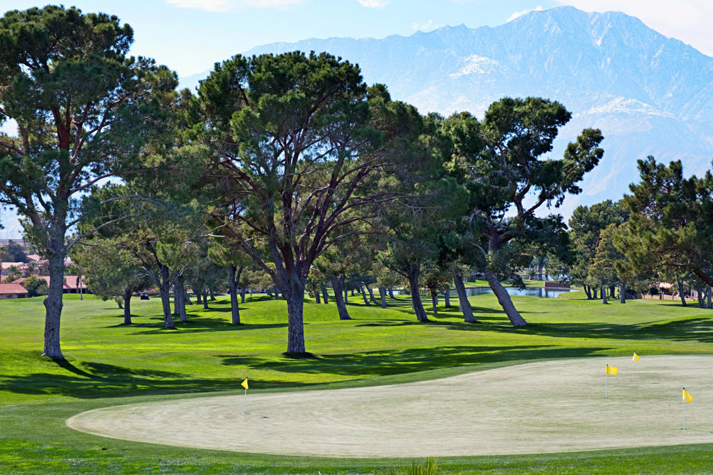 MLS #219137490DA image #20