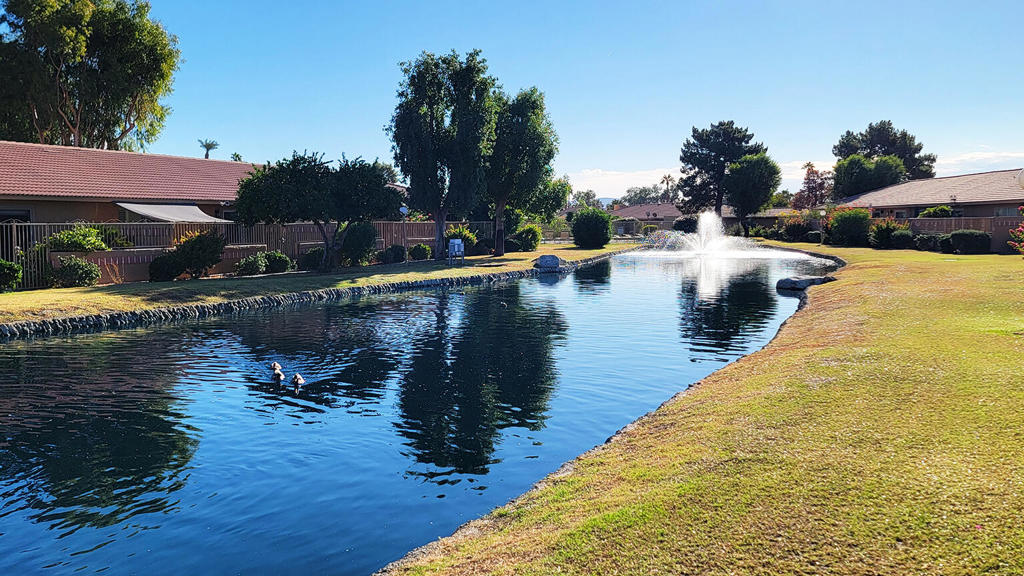 MLS #219137494DA image #46