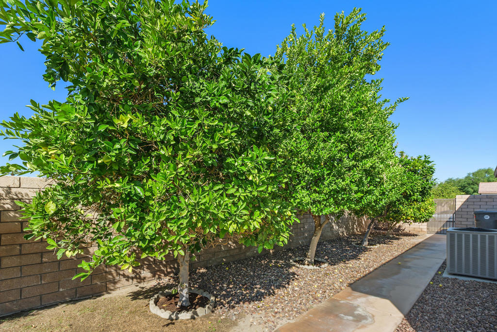 MLS #219137519DA image #9