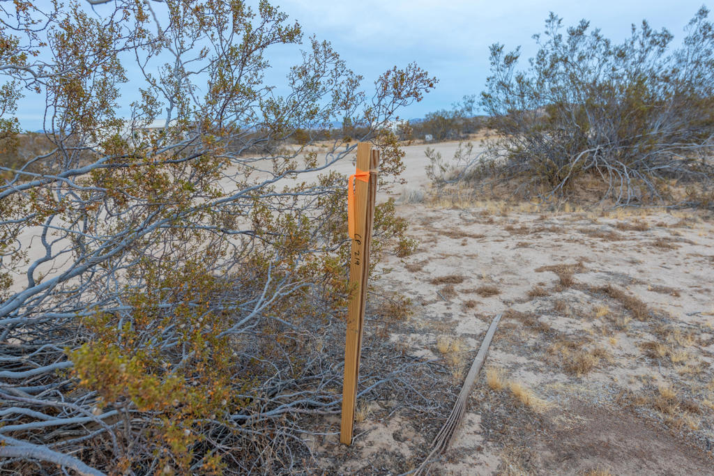 MLS #219137529DA image #10