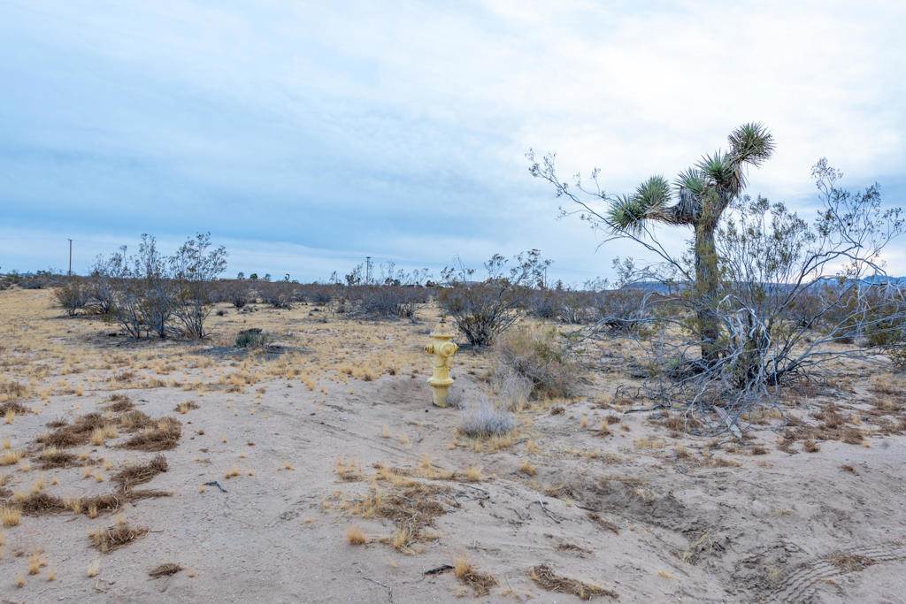 MLS #219137529DA image #12