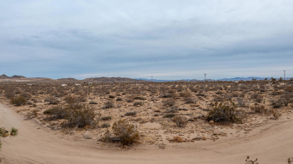 MLS #219137529DA image #2