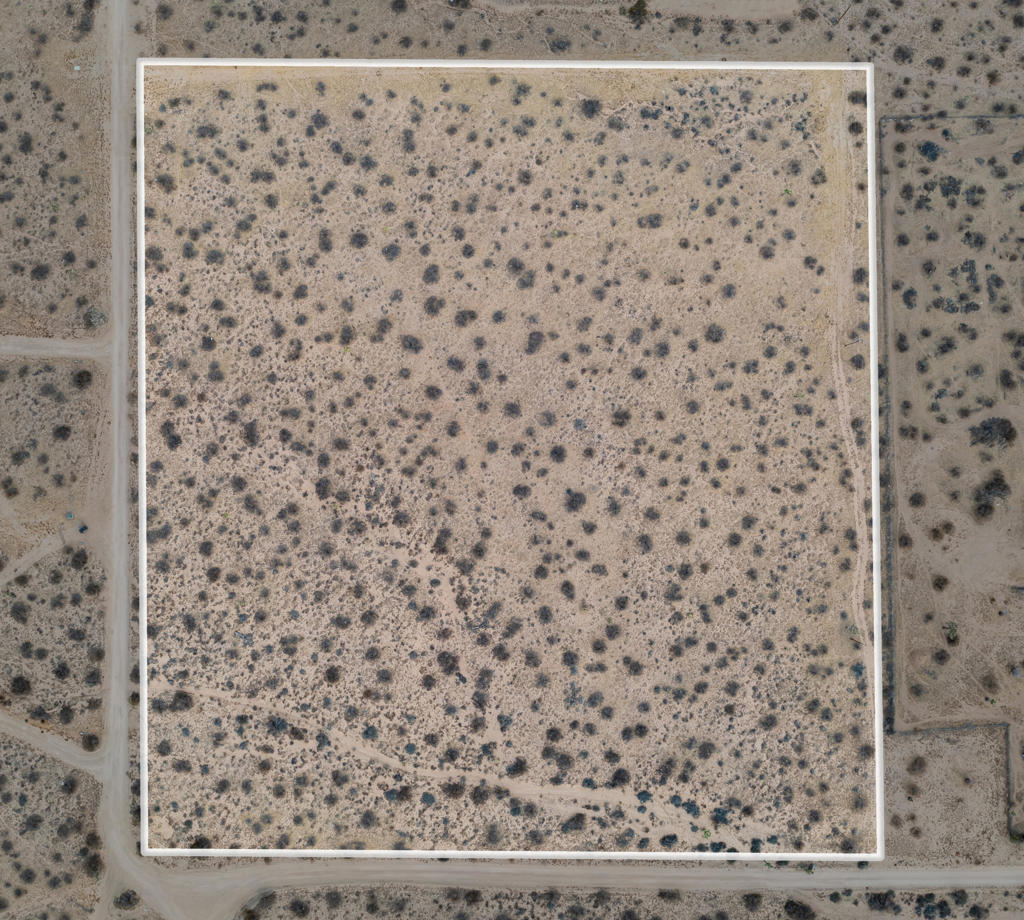 MLS #219137529DA image #8