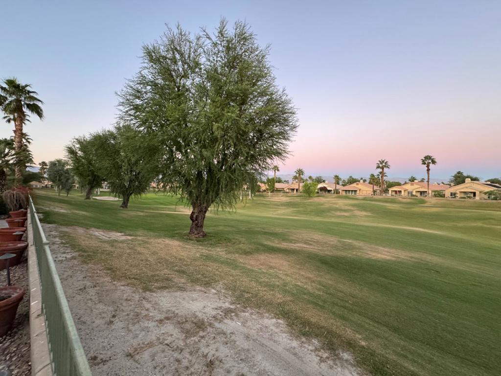 MLS #219137688DA image #6