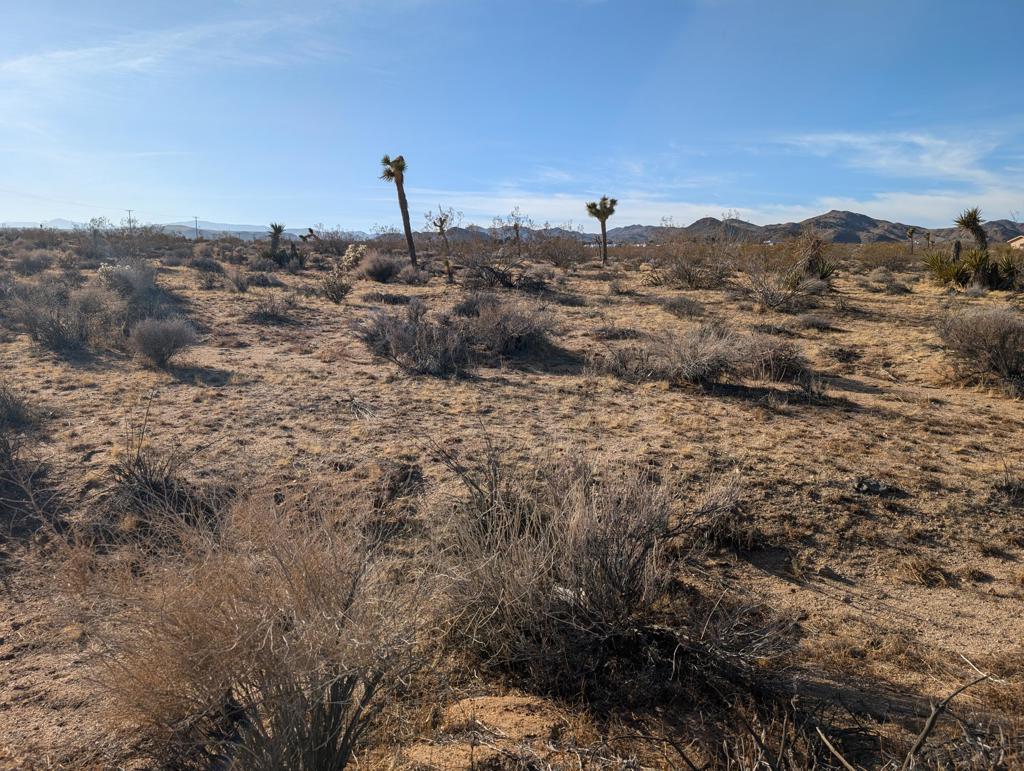 MLS #219137694DA image #1