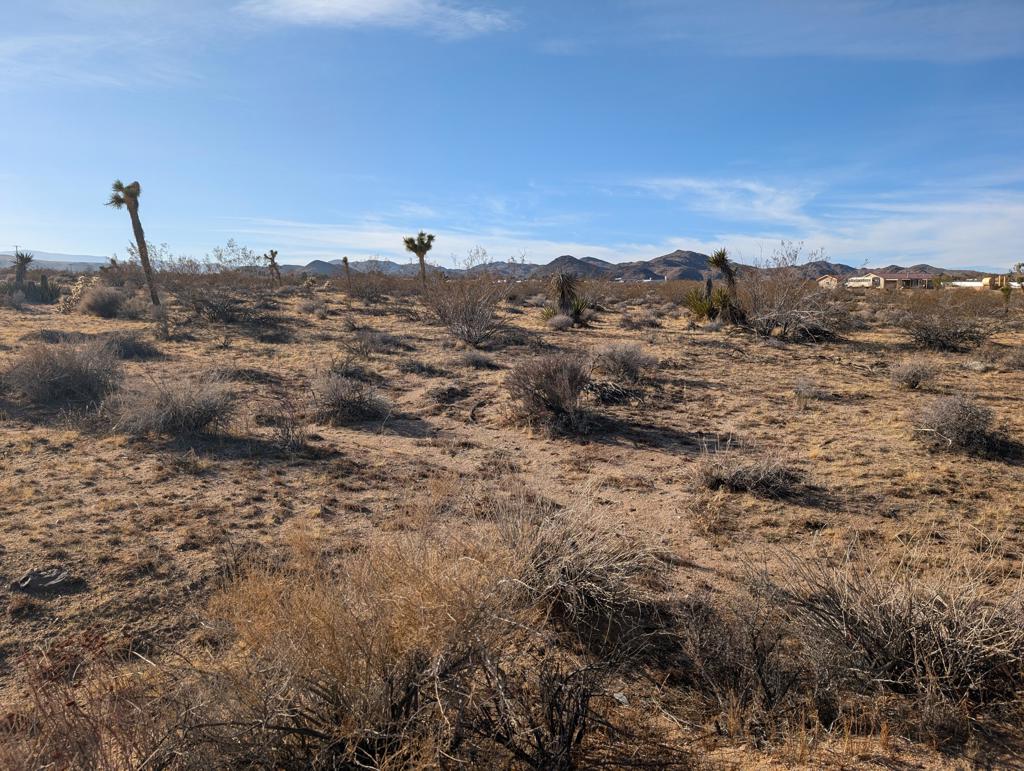 MLS #219137694DA image #4