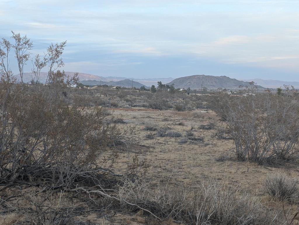 MLS #219137694DA image #5