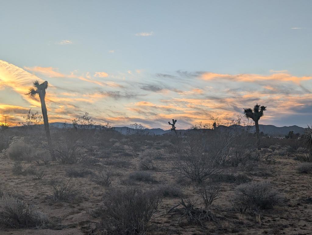 MLS #219137694DA image #6