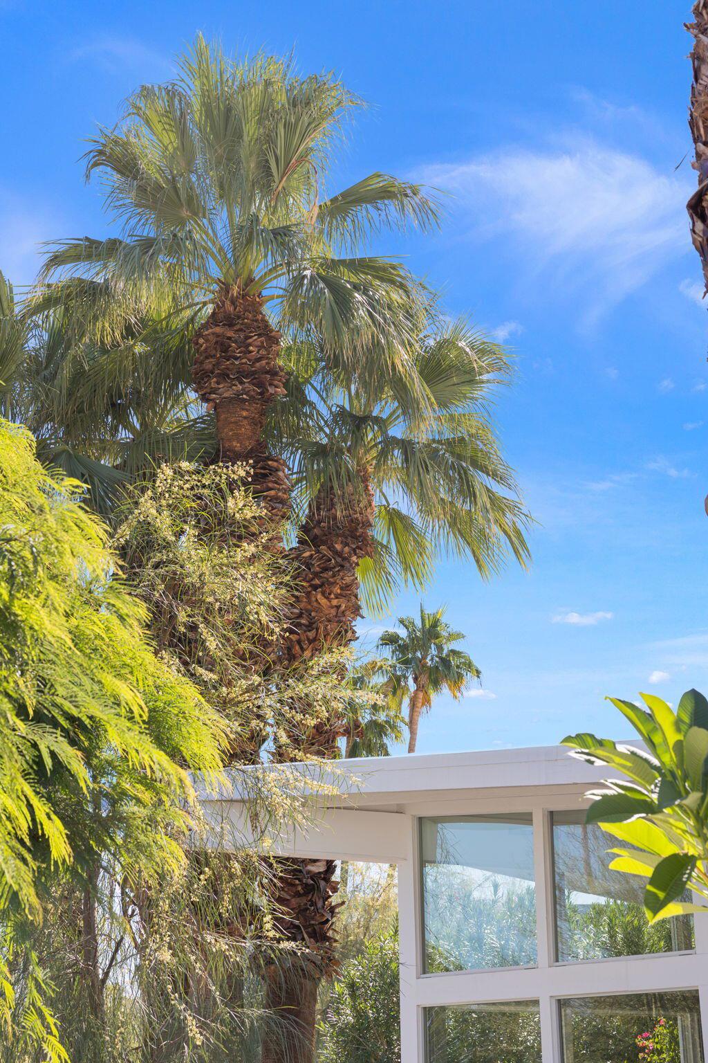 MLS #219137793DA image #35