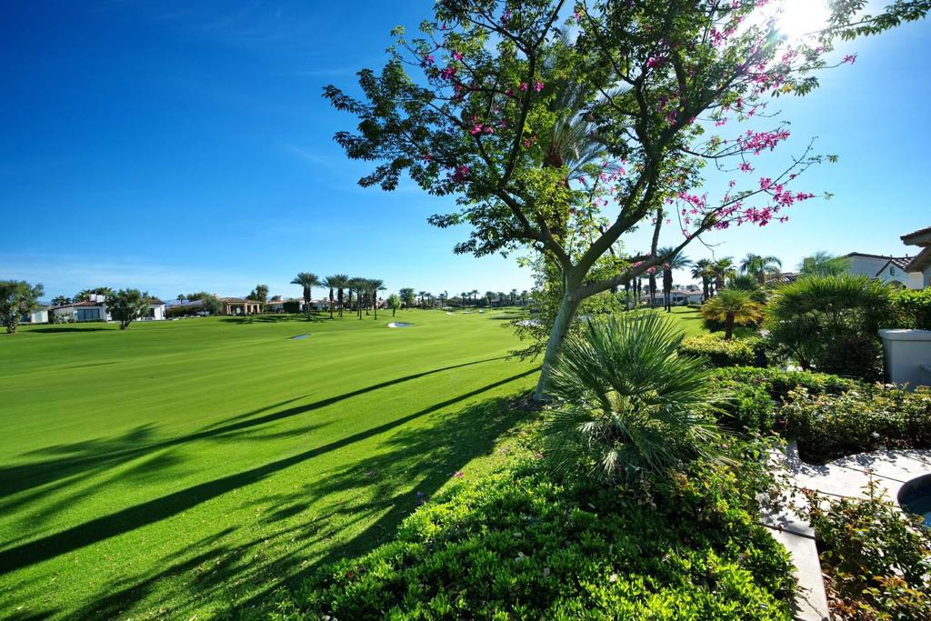 MLS #219137824DA image #1