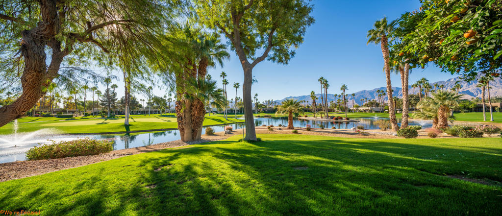 MLS #219137877DA image #5