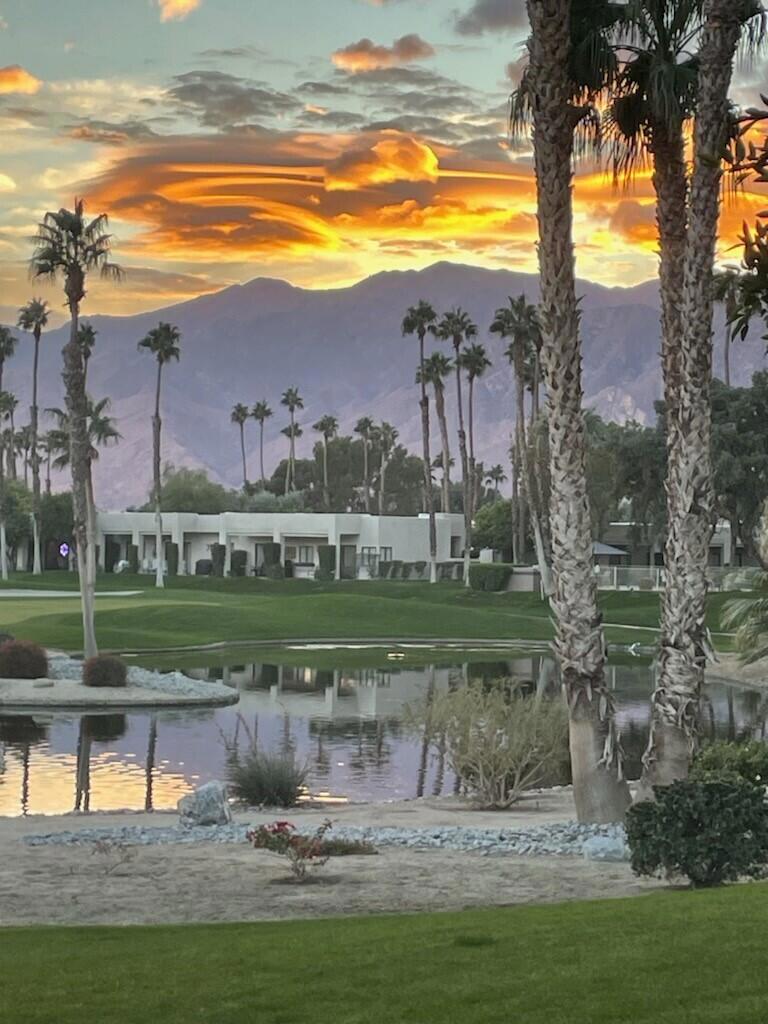 MLS #219137877DA image #6