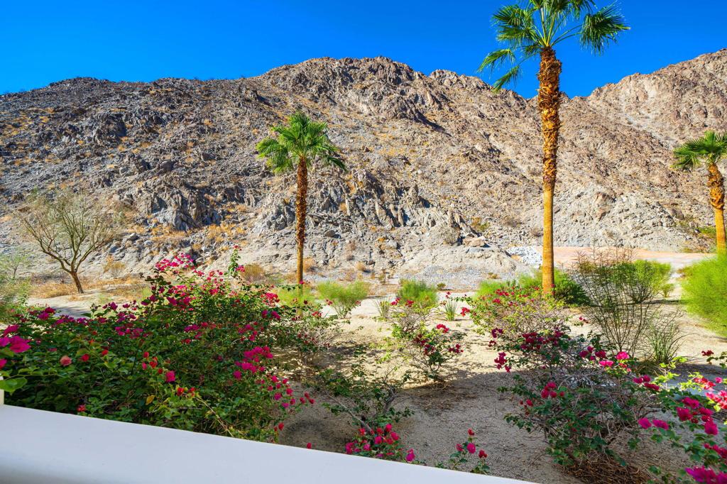 MLS #219137888DA image #45