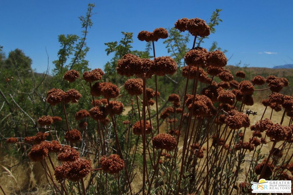 MLS #22208333 image #3