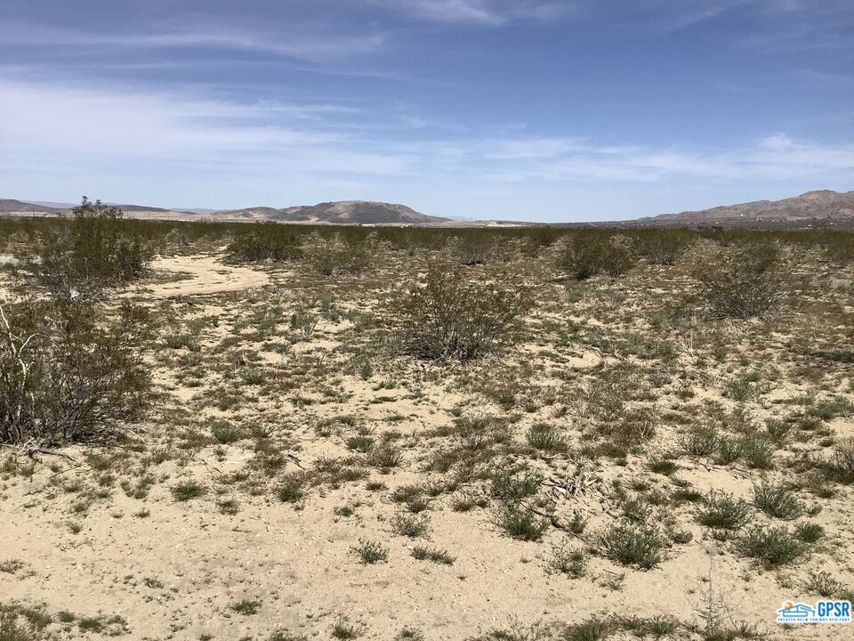 MLS #23258543 image #13