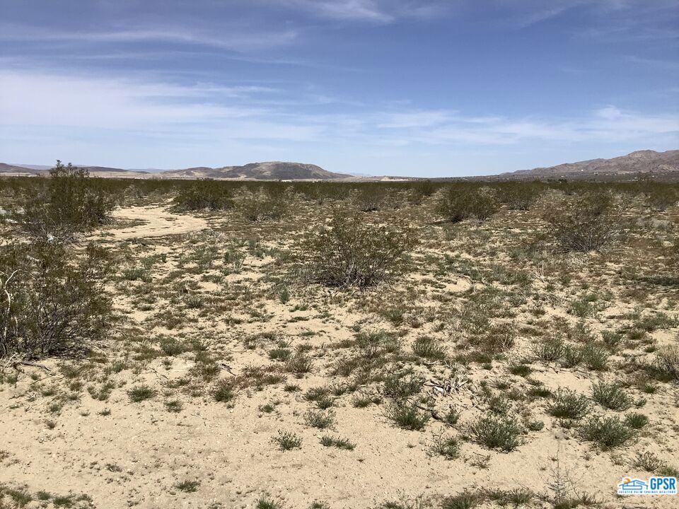 MLS #23258543 image #14