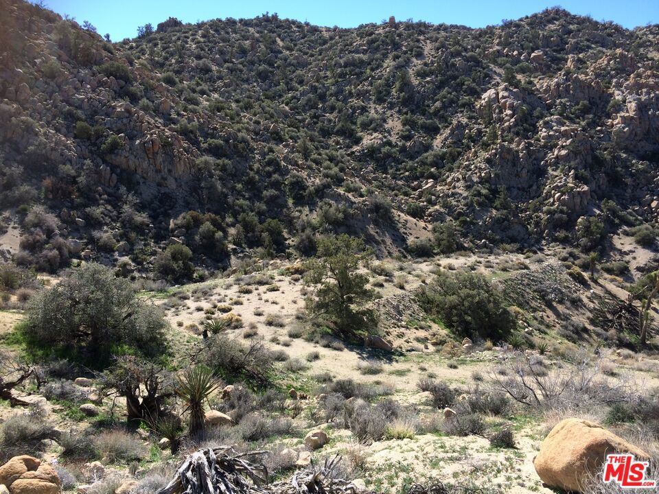 MLS #23291589 image #16