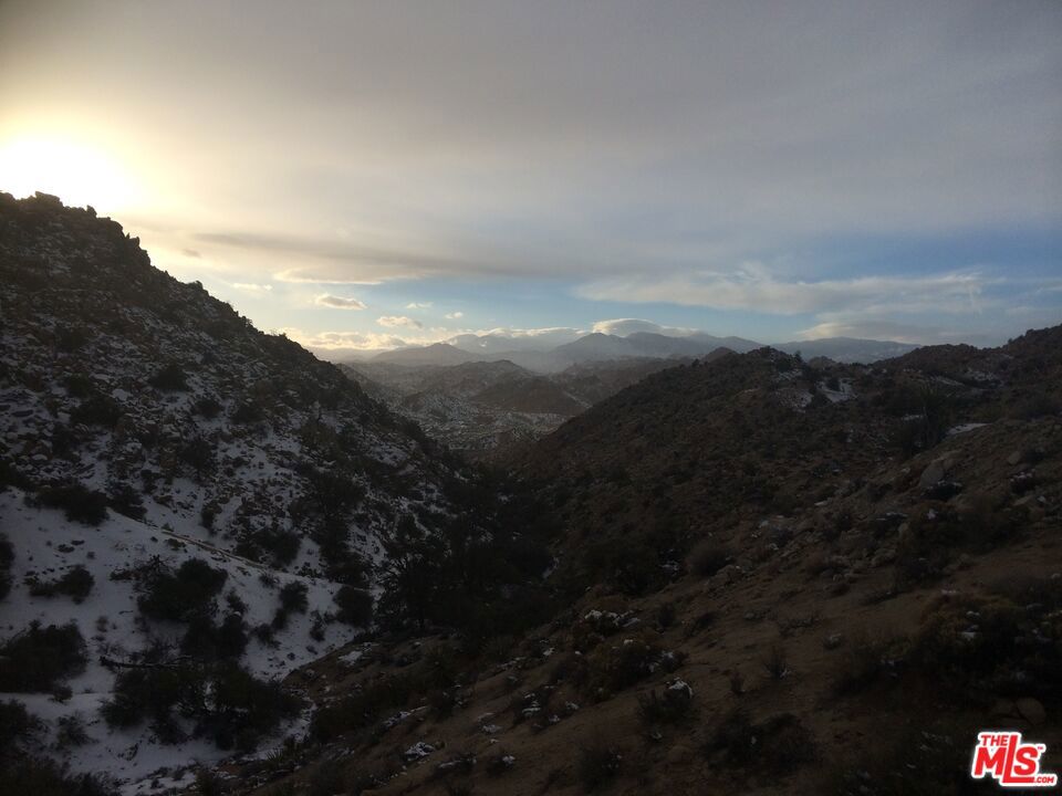 MLS #23291589 image #23