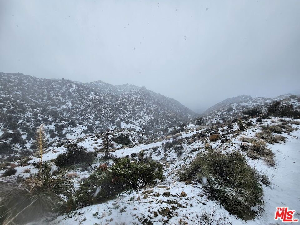 MLS #23291589 image #30