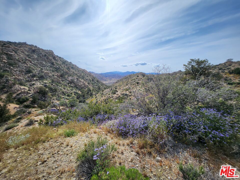 MLS #23291589 image #6